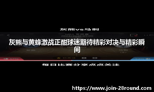 灰熊与黄蜂激战正酣球迷期待精彩对决与精彩瞬间